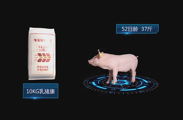 特驅集團展廳三維幻象動畫制作