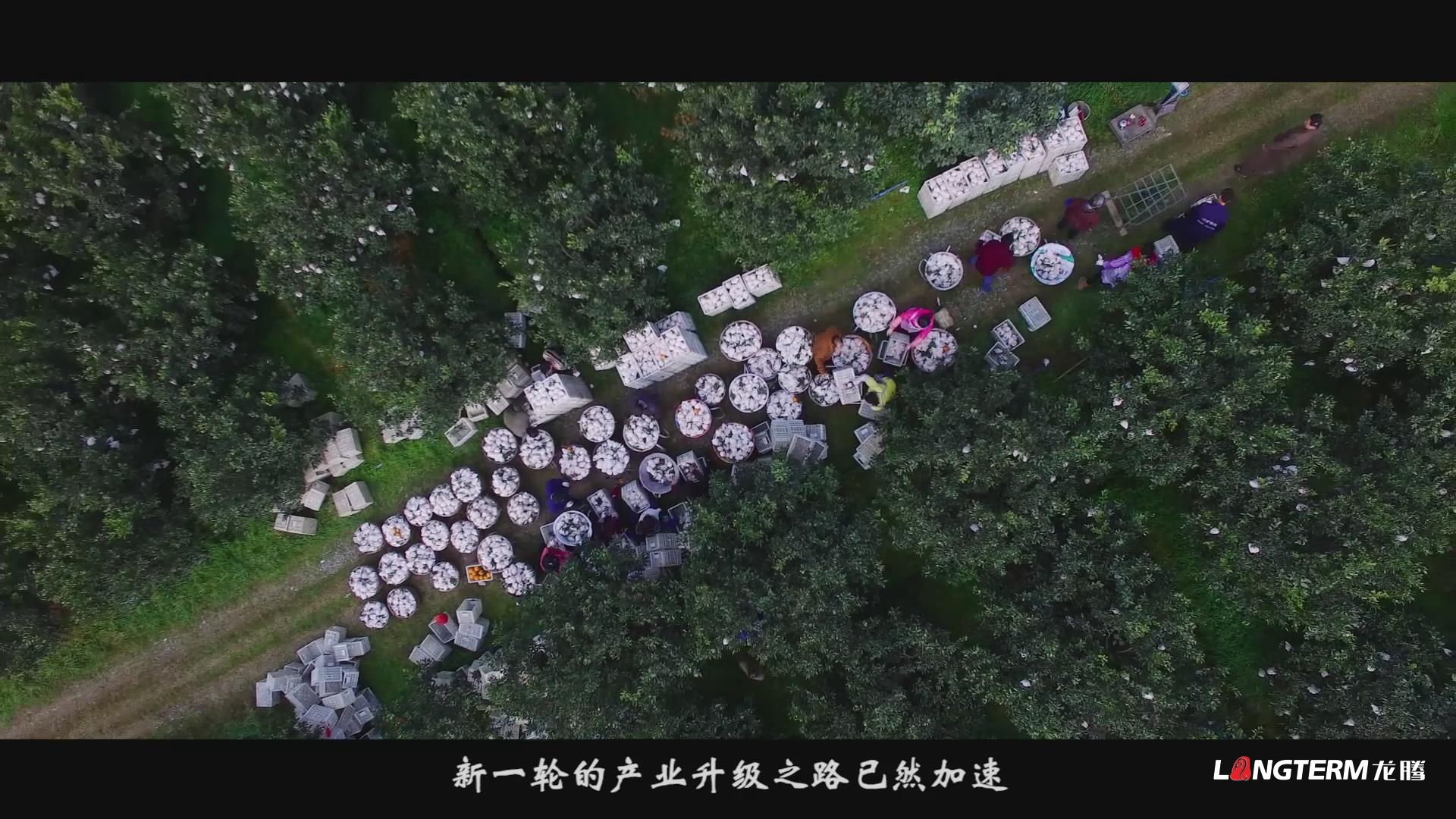 眉山市丹棱縣鄉村振興形象宣傳片《大雅家園 幸福丹棱》