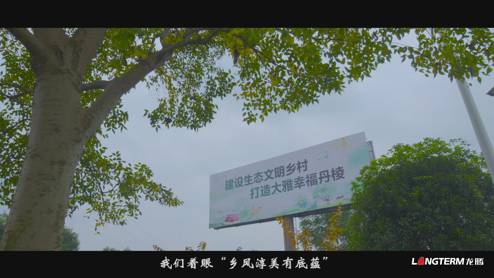 眉山市丹棱縣鄉村振興形象宣傳片《大雅家園 幸福丹棱》