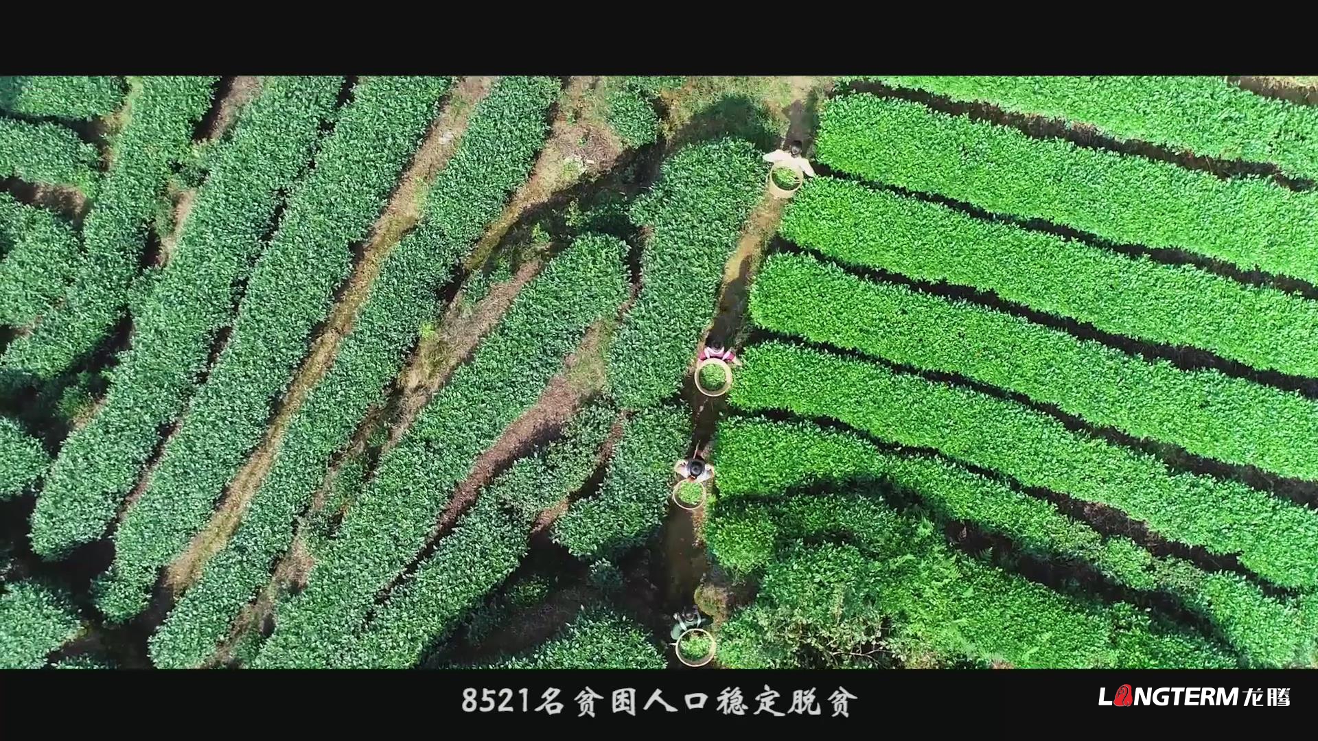 眉山市丹棱縣鄉村振興形象宣傳片《大雅家園 幸福丹棱》
