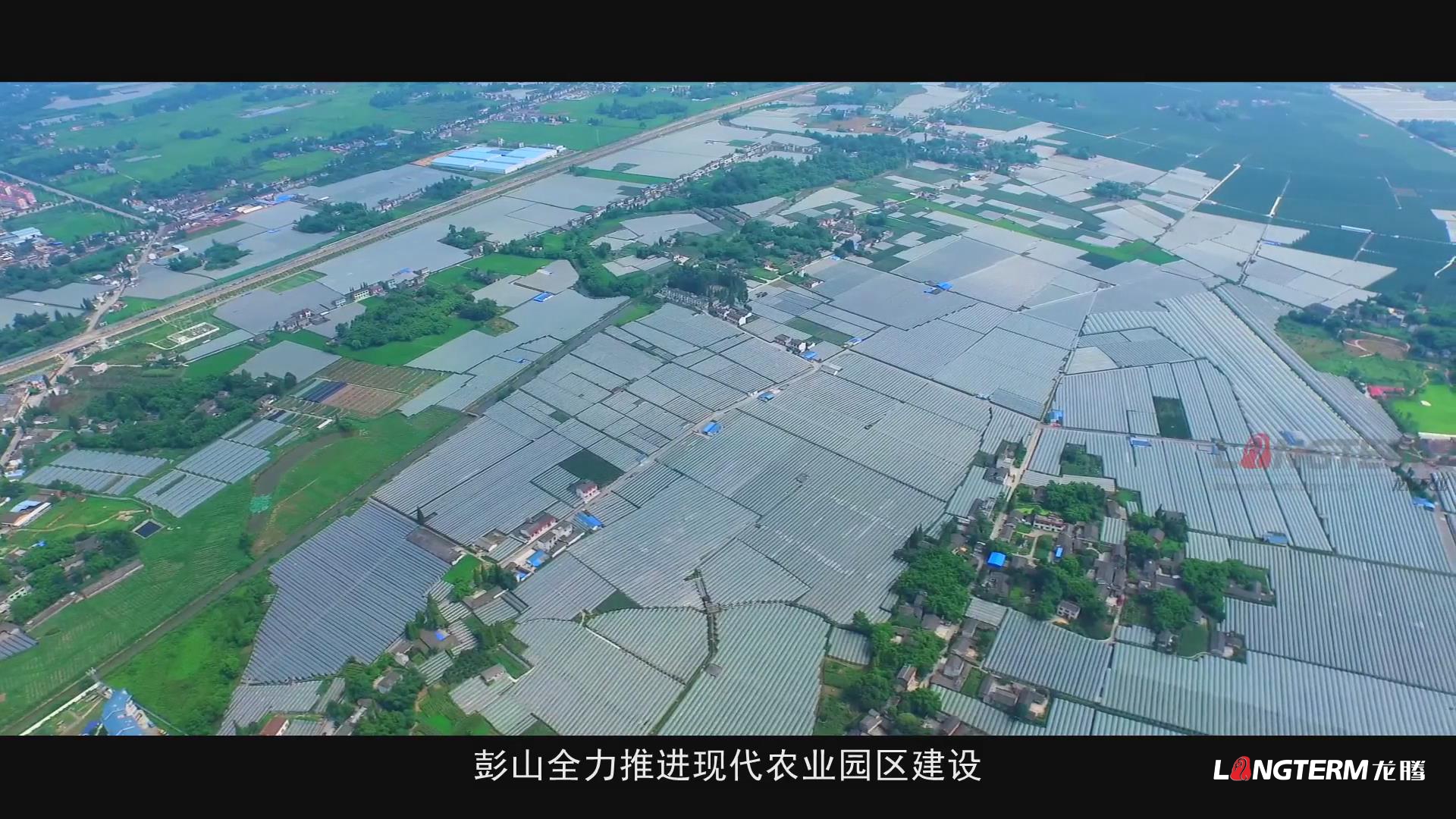 眉山市彭山區鄉村振興的彭山實踐成果匯報宣傳片