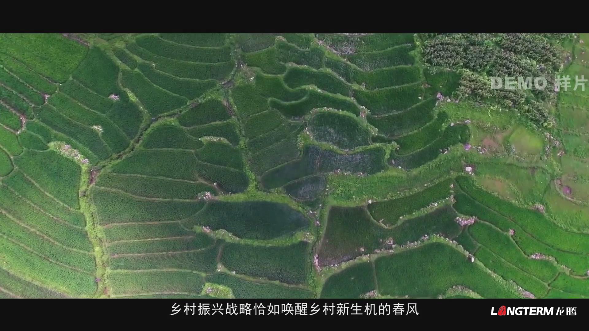 郫都區鄉村振興宣傳片系列之戰旗村篇《安逸郫都 醉美錦繡》